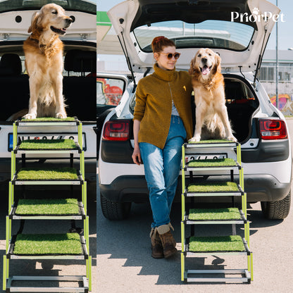 5 pasos al aire libre perro escaleras hierba-base no plana