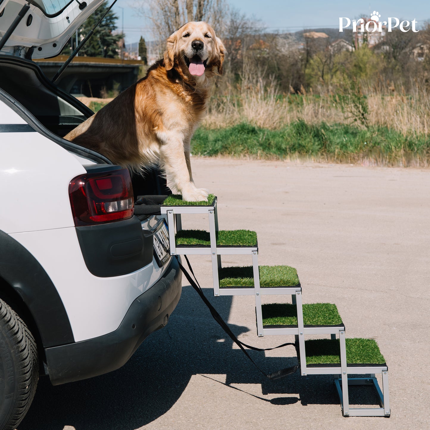 5 pasos al aire libre perro escaleras hierba-base no plana
