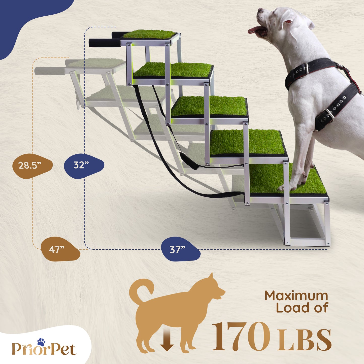 5 pasos al aire libre perro escaleras hierba-base no plana