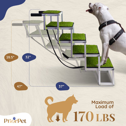 5 pasos al aire libre perro escaleras hierba-base no plana