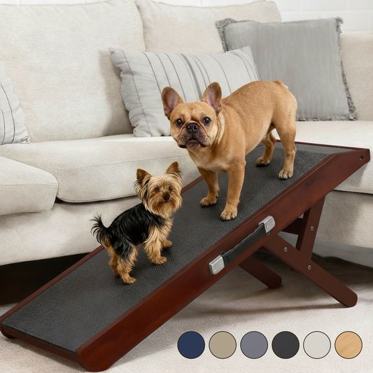 Dog Ramp for Couch - USA