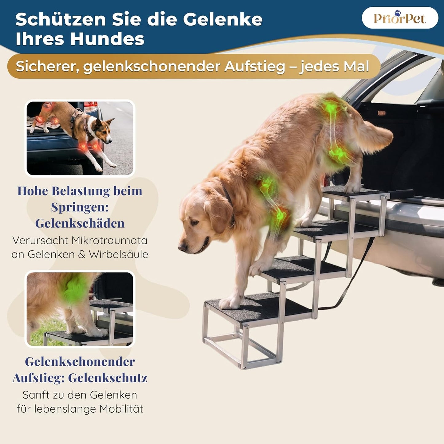 Hundetreppe Auto Klappbar – 4, 5 oder 6 Stufen für niedrige bis hohe Kofferraumhöhen (63–81 cm) – Für Kleinwagen, Kombi & SUV – Einstiegshilfe für große Hunde ohne Springen, Alternative zur Hunderampe