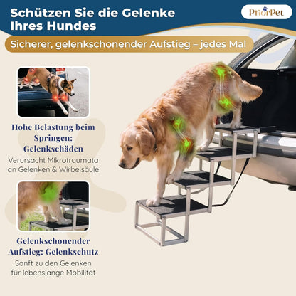 Hundetreppe Auto Klappbar – 4, 5 oder 6 Stufen für niedrige bis hohe Kofferraumhöhen (63–81 cm) – Für Kleinwagen, Kombi & SUV – Einstiegshilfe für große Hunde ohne Springen, Alternative zur Hunderampe