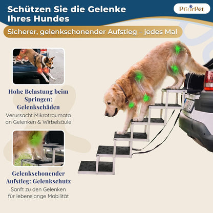 Hundetreppe Auto Klappbar – 4, 5 oder 6 Stufen für niedrige bis hohe Kofferraumhöhen (63–81 cm) – Für Kleinwagen, Kombi & SUV – Einstiegshilfe für große Hunde ohne Springen, Alternative zur Hunderampe