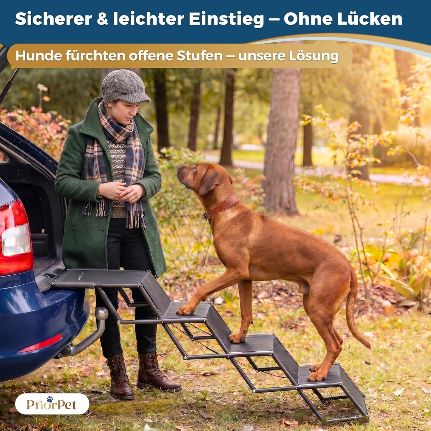 Klappbare Hundetreppe fürs Auto – 53–81 cm, bis 65 kg