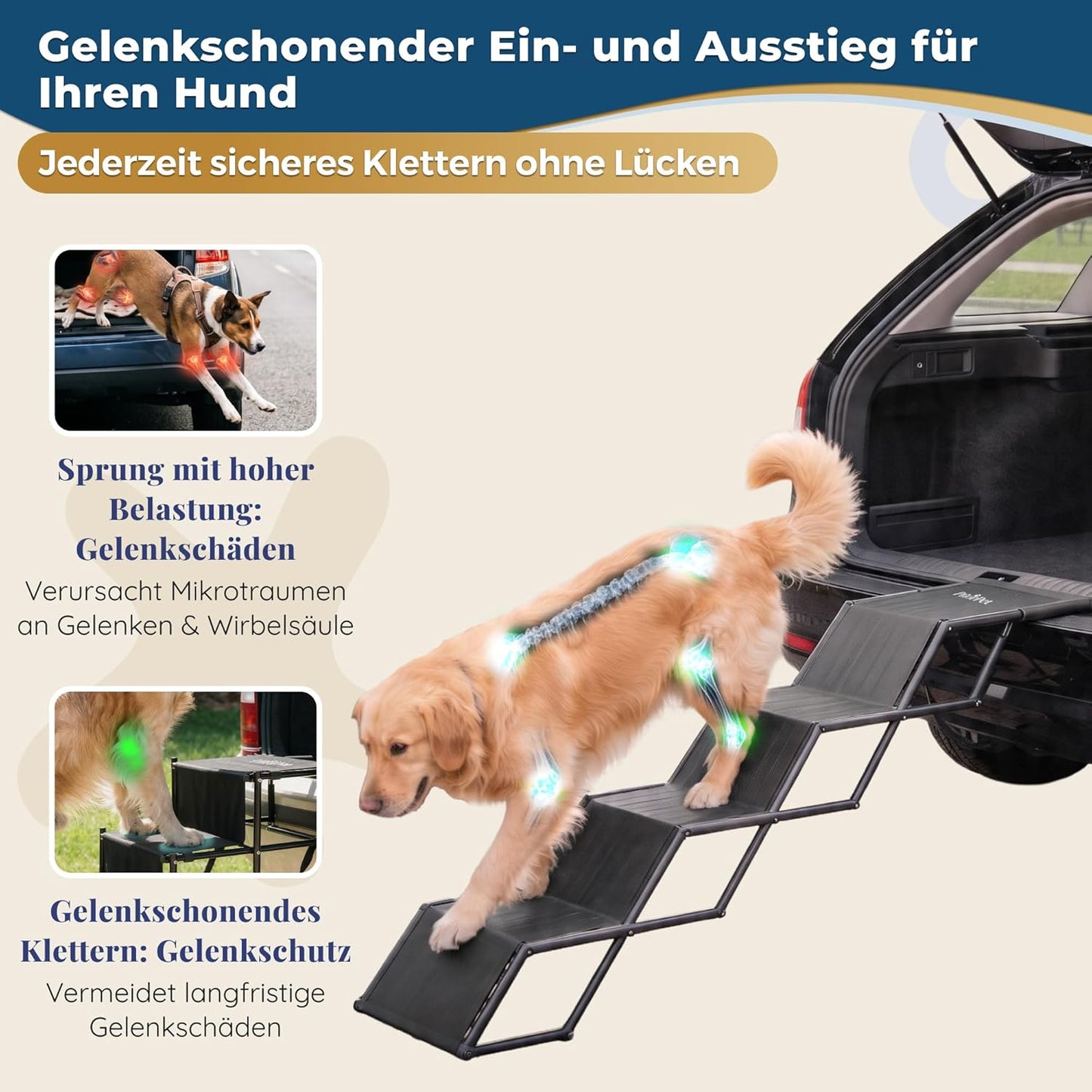 Klappbare Hundetreppe fürs Auto – 53–81 cm, bis 65 kg