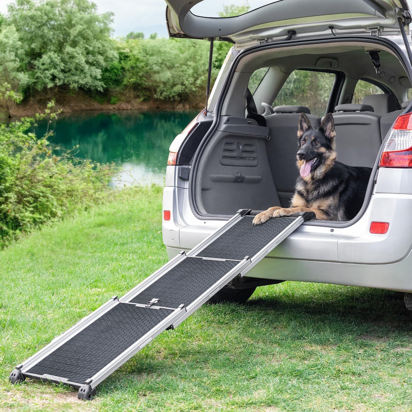 Hunderampe Auto Klappbar. Stabile Teleskop Rampe 90kg Belastbarkeit.
