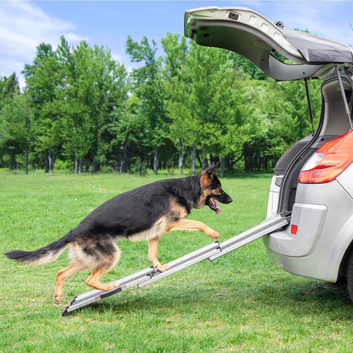 Hunderampe Auto Klappbar. Stabile Teleskop Rampe 90kg Belastbarkeit.