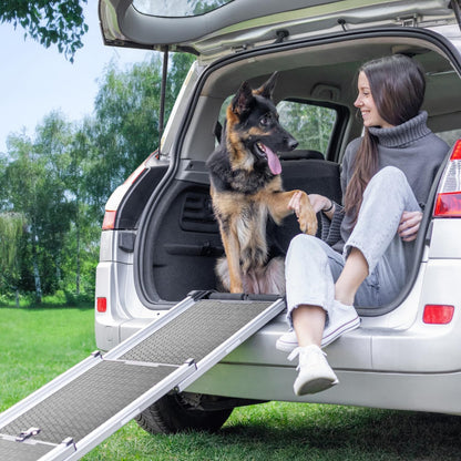 Hunderampe Auto Klappbar. Stabile Teleskop Rampe 90kg Belastbarkeit.