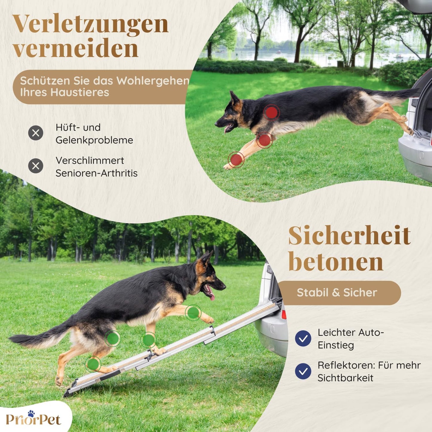 Hunderampe Auto Klappbar. Stabile Teleskop Rampe 90kg Belastbarkeit.