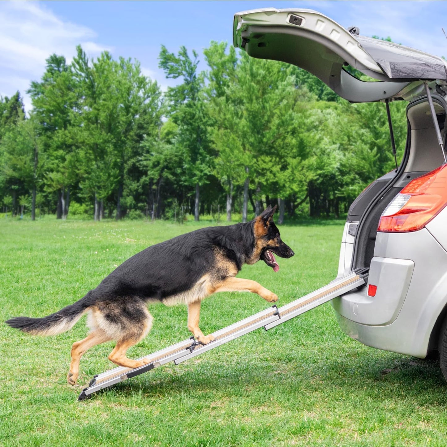 Hunderampe Auto Klappbar. Stabile Teleskop Rampe 90kg Belastbarkeit.