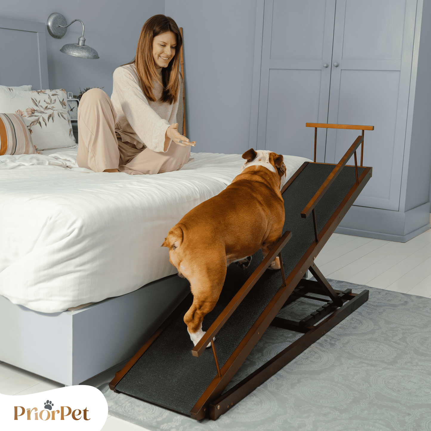 Rampe de chien pour le lit